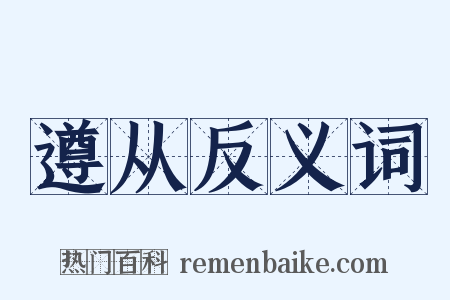 遵从反义词是什么意思的图片